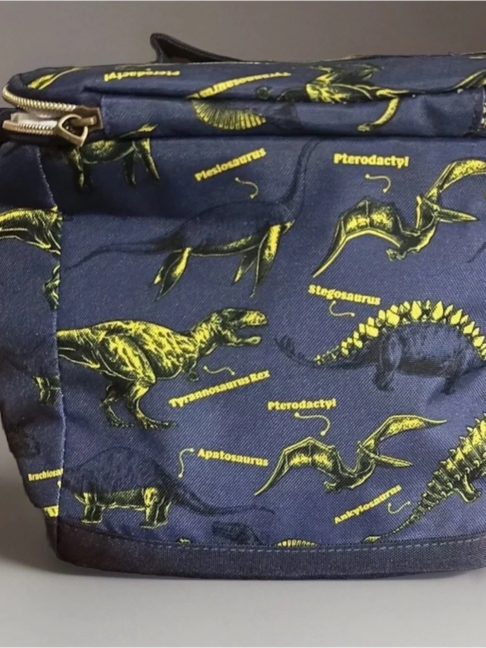 Fit & Fresh Navy Dinosaur Linch Tote 10x10 reusable sandwich bags